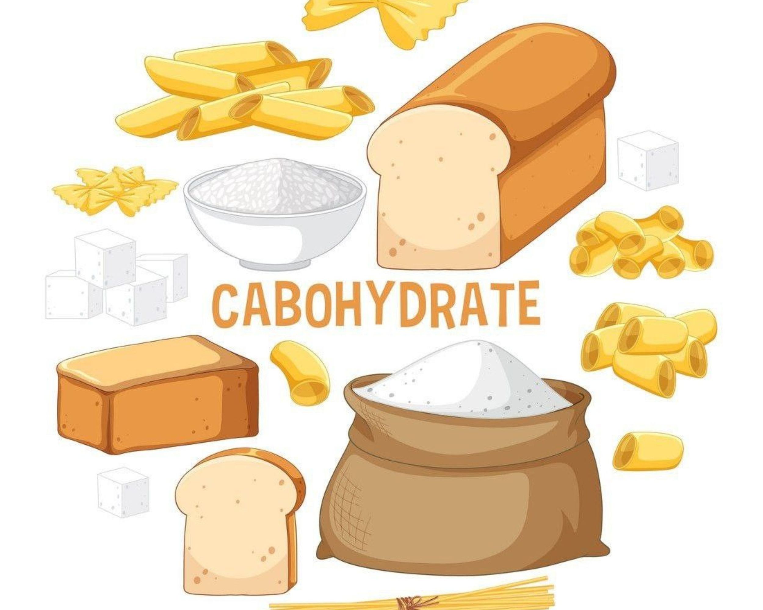 Carbohydrate là gì? Các lưu ý khi sử dụng